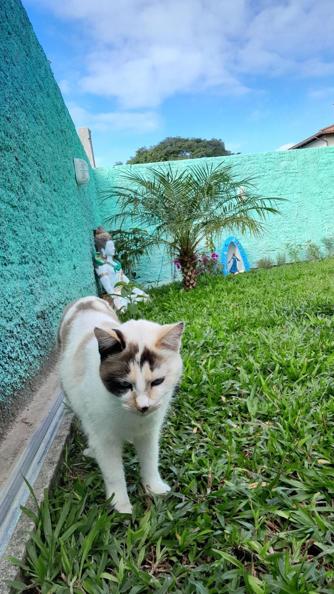 Tiny House Mocambique - Sua Casinha Em Floripa! Florianopolis